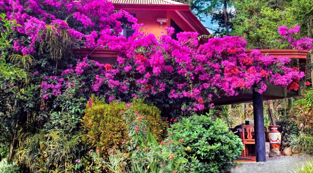 Boquete Garden Inn Exterior foto